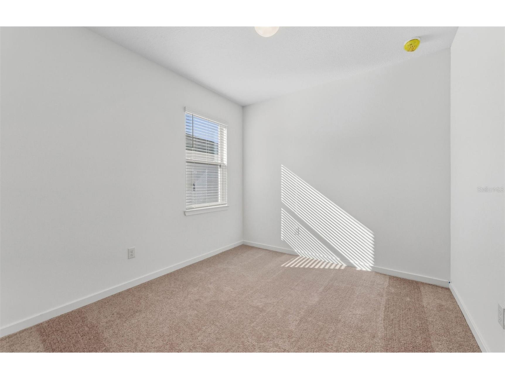 4137 Feldspar Lane Spring Hill FL 34609 TB8419627 image13