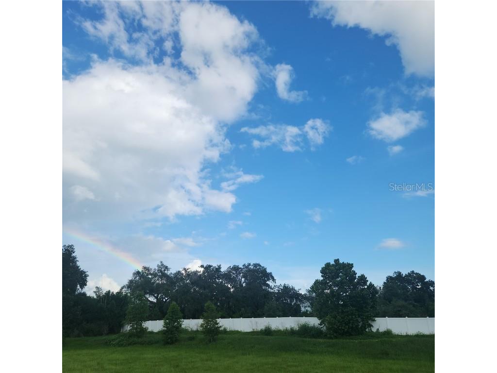 4137 New River Rd Zephyrhills FL 33542 TB8404619 image3