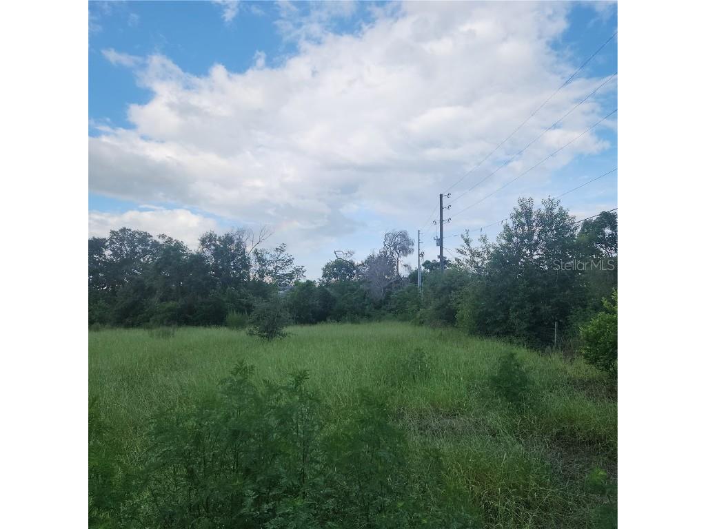 4137 New River Rd Zephyrhills FL 33542 TB8404619 image6