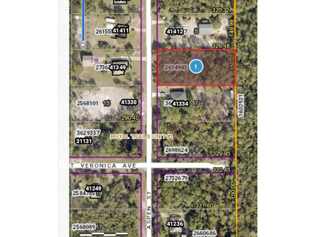 41370 Aspen Street Eustis FL 32736 - LAKE NORRIS G5075680 image1