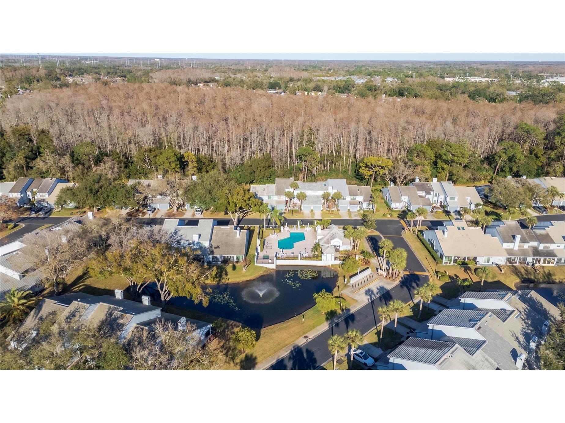 4138 Brentwood Park Circle Tampa FL 33624 TB8468891 image3