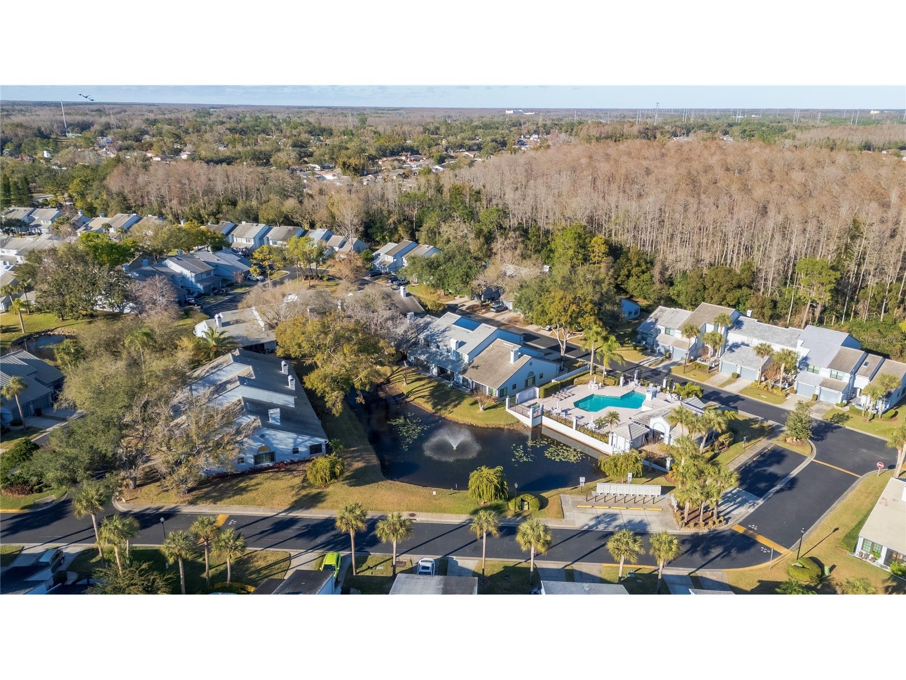 4138 Brentwood Park Circle Tampa FL 33624 TB8468891 image4