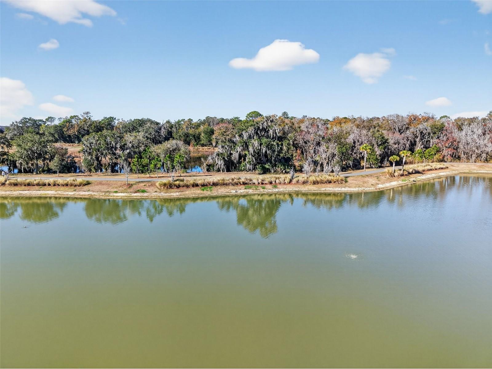 4138 Burgess Drive The Villages FL 32163 G5107349 image2