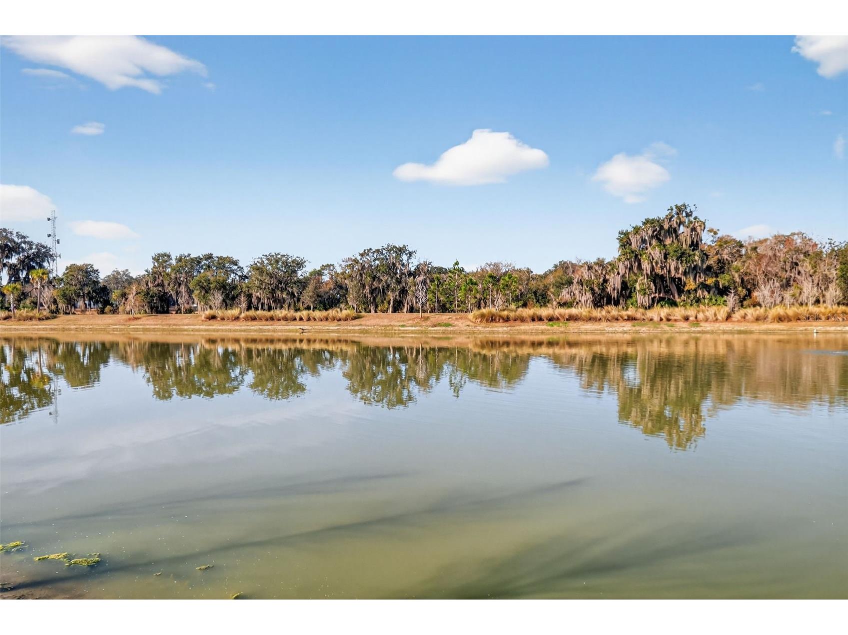 4138 Burgess Drive The Villages FL 32163 G5107349 image40