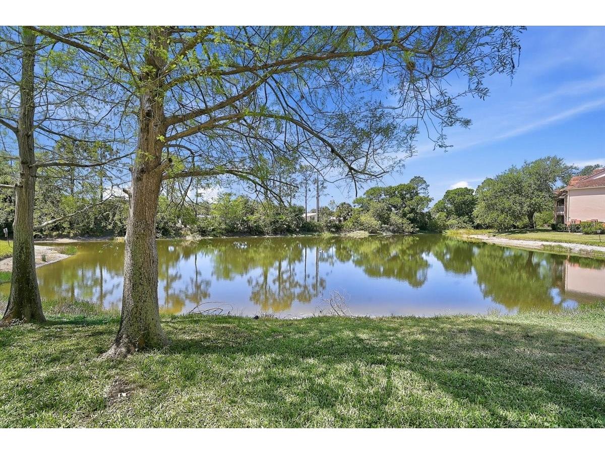 4138 Central Sarasota Parkway #1534 Sarasota FL 34238 A4691918 image23