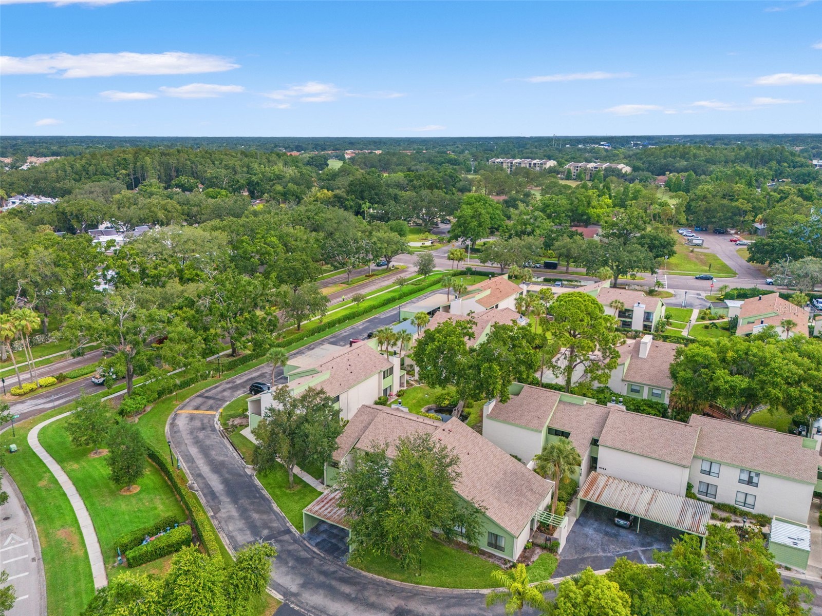 4138 Pinelake Lane #201 Tampa FL 33618 TB8507732 image40