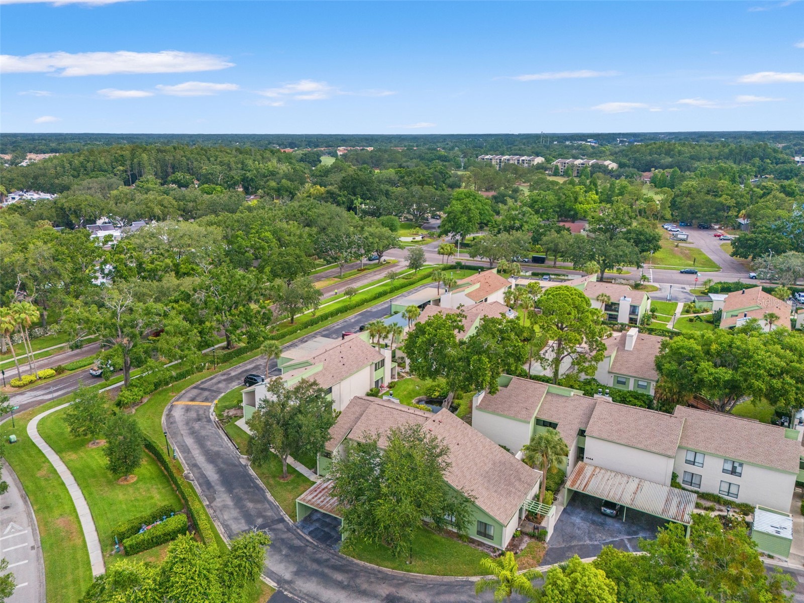 4138 Pinelake Lane #201 Tampa FL 33618 TB8507732 image41