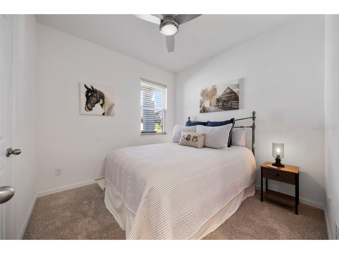 4138 Solamor Street Lakeland FL 33810 TB8448987 image23