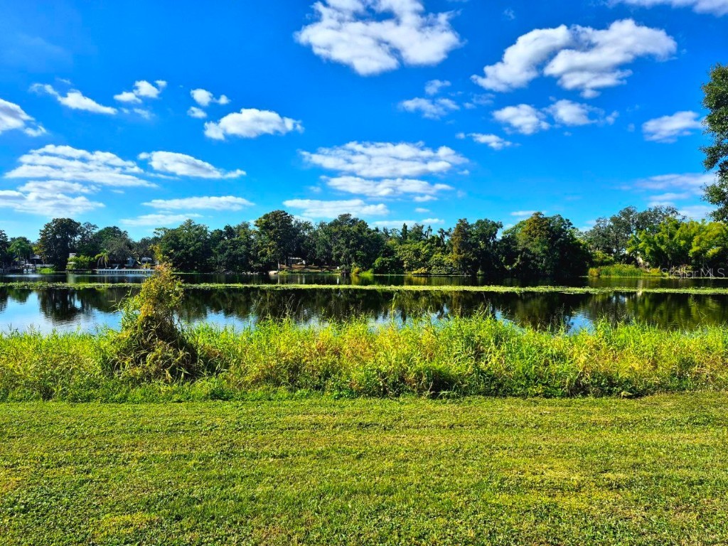 4139 Dolphin Drive Tampa FL 33617 TB8410520 image12