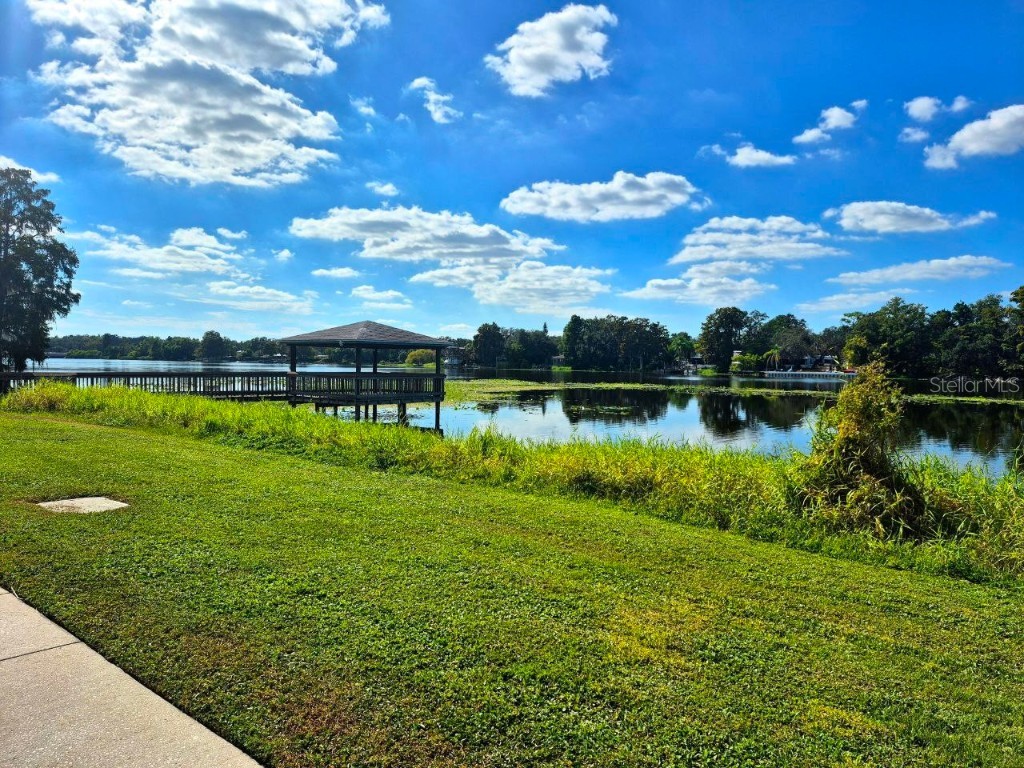 4139 Dolphin Drive Tampa FL 33617 TB8410520 image13