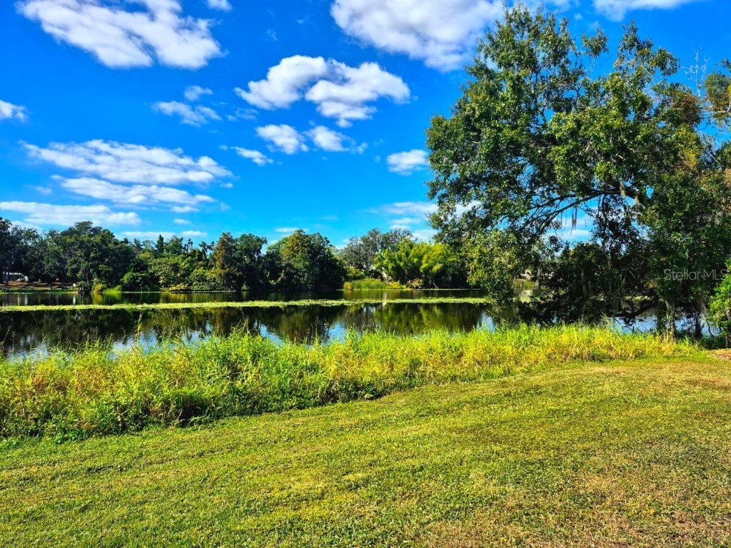 4139 Dolphin Drive Tampa FL 33617 TB8410520 image14