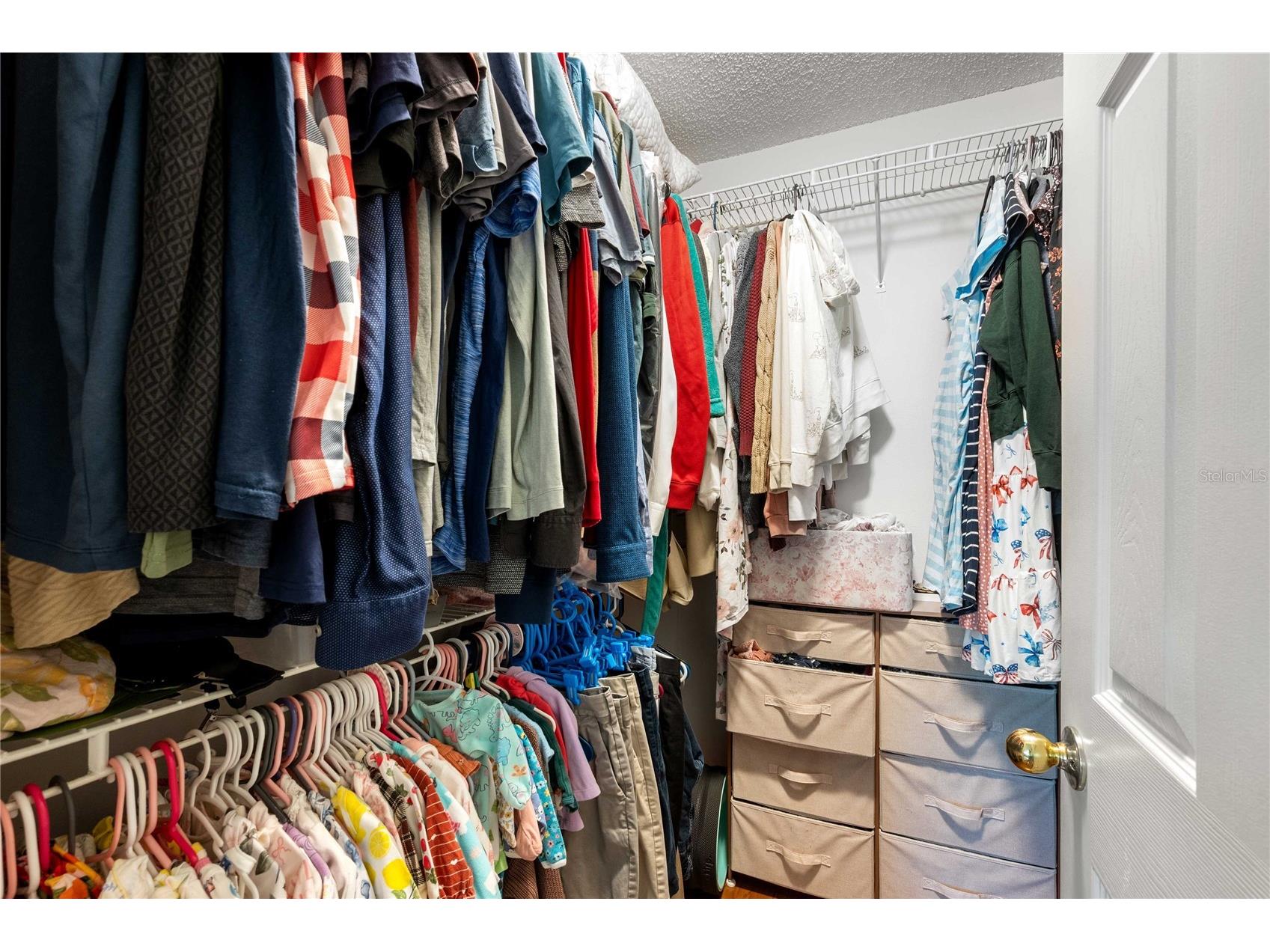 4139 Moreland Drive Valrico FL 33596 TB8527165 image26