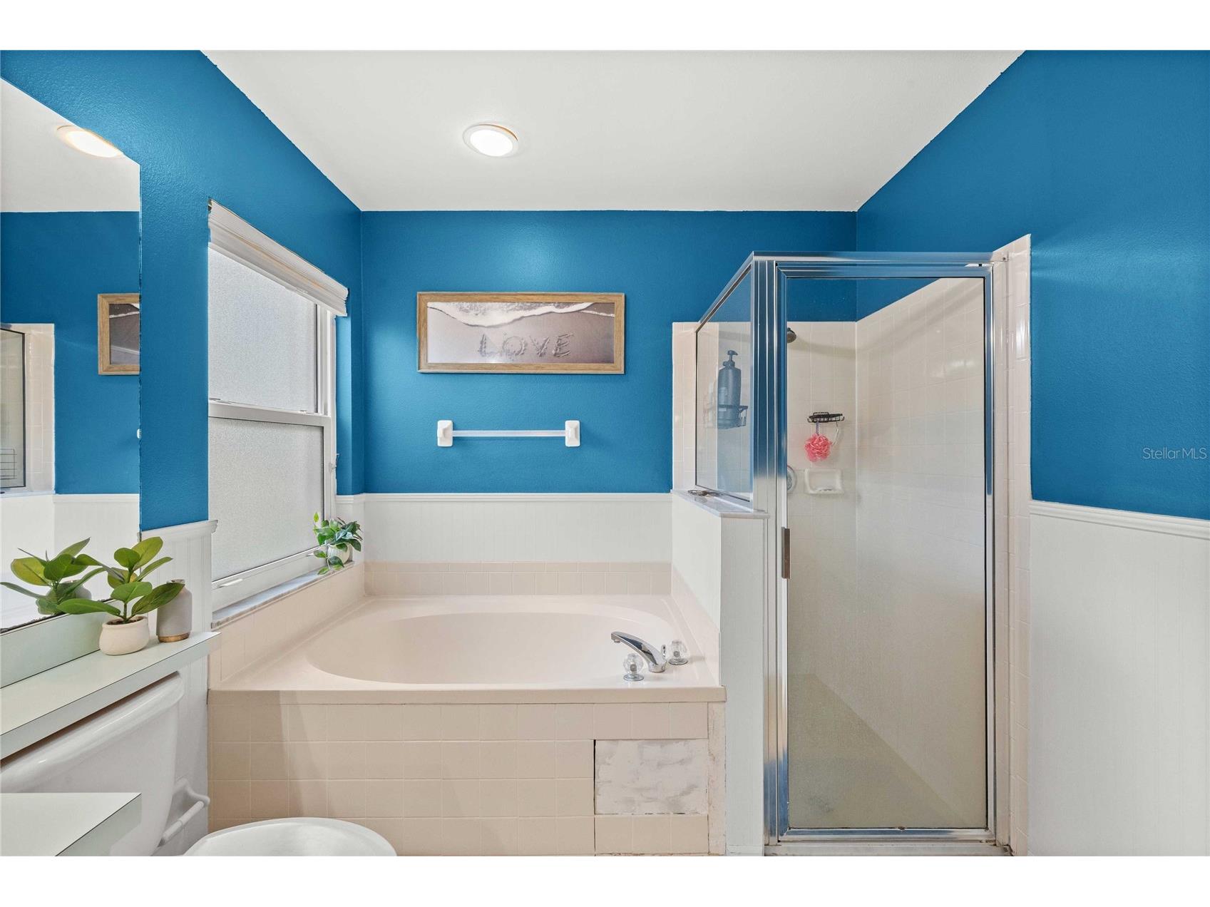 4139 Moreland Drive Valrico FL 33596 TB8527165 image27