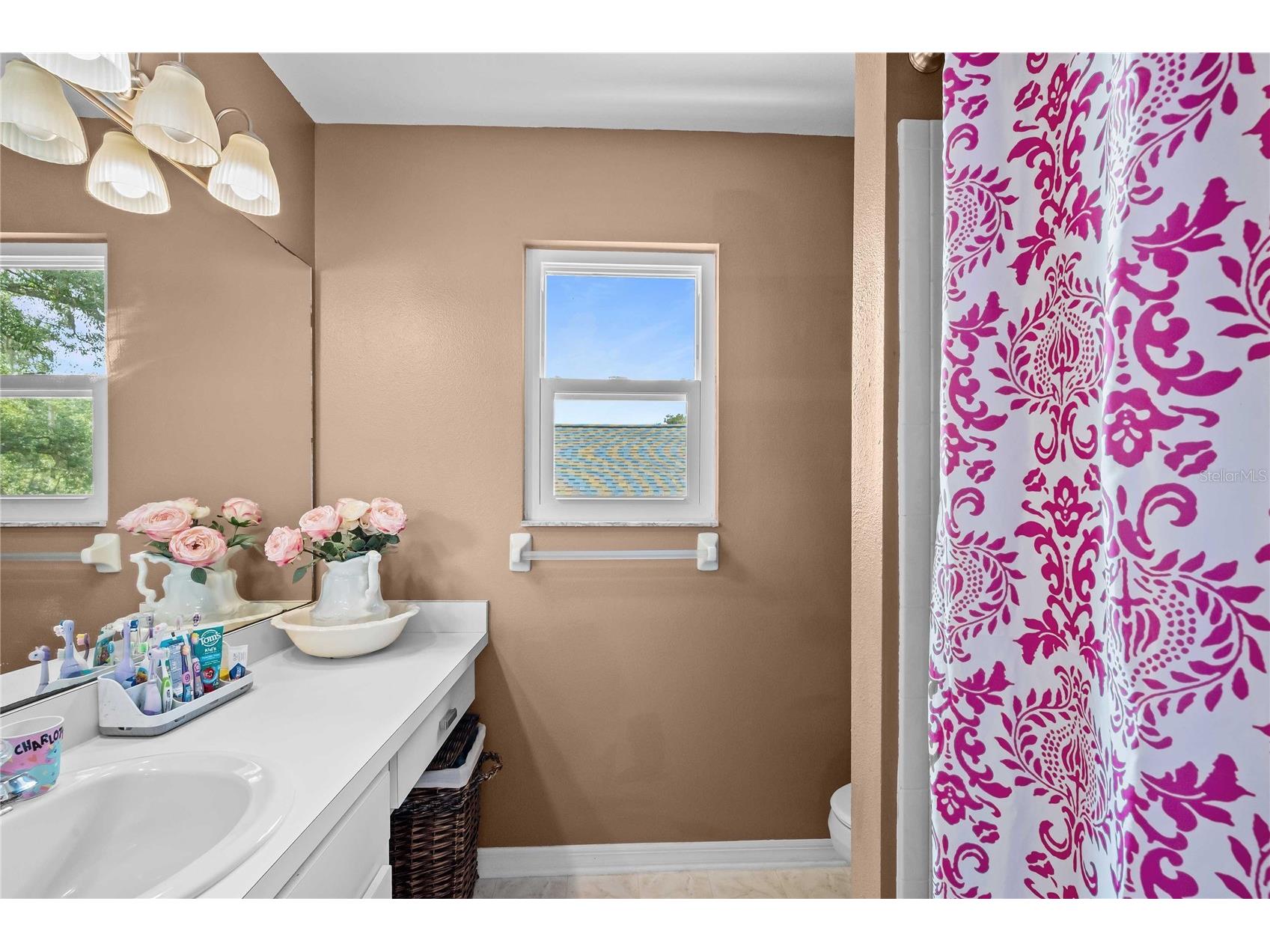 4139 Moreland Drive Valrico FL 33596 TB8527165 image36