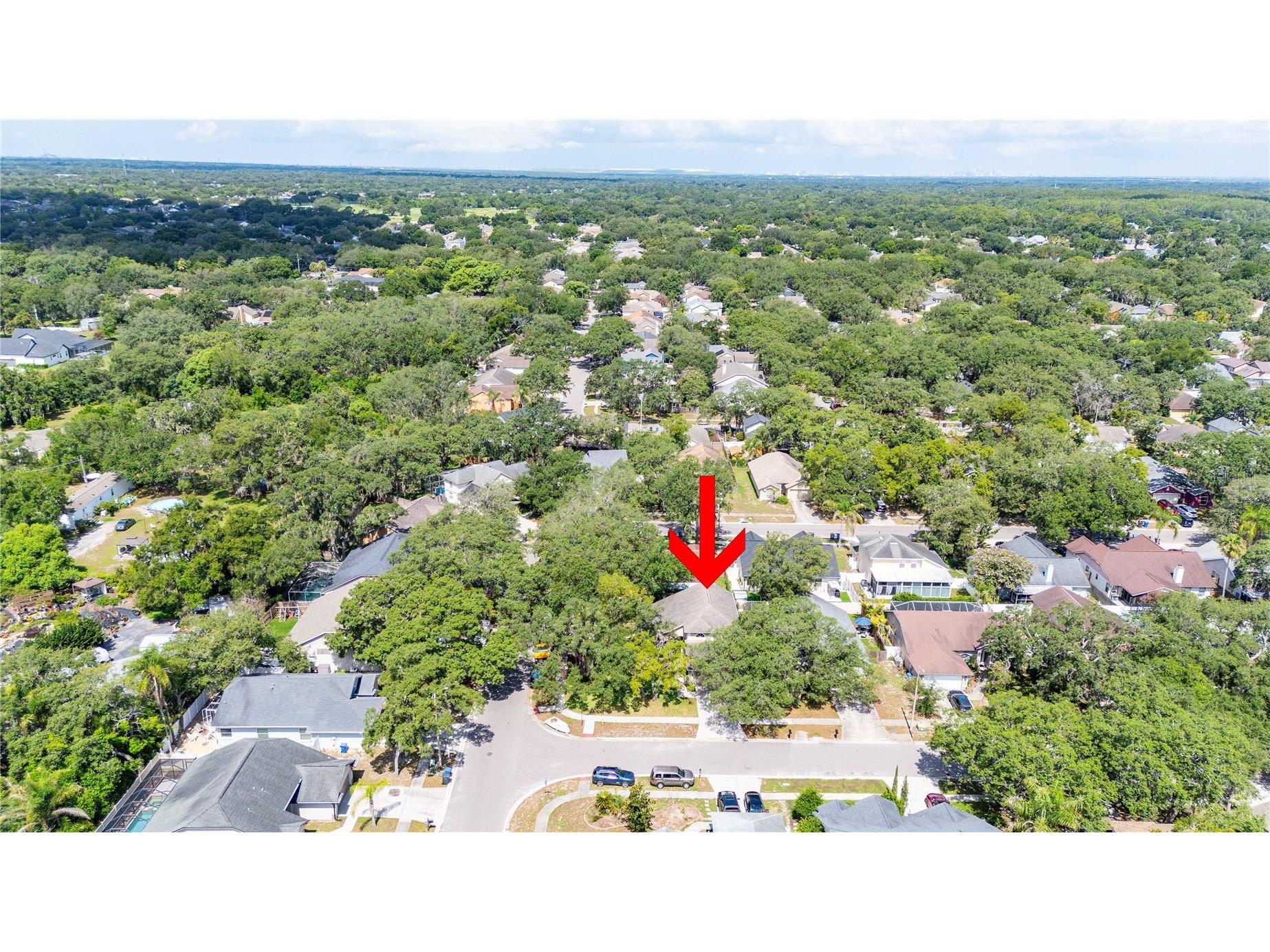4139 Moreland Drive Valrico FL 33596 TB8527165 image50