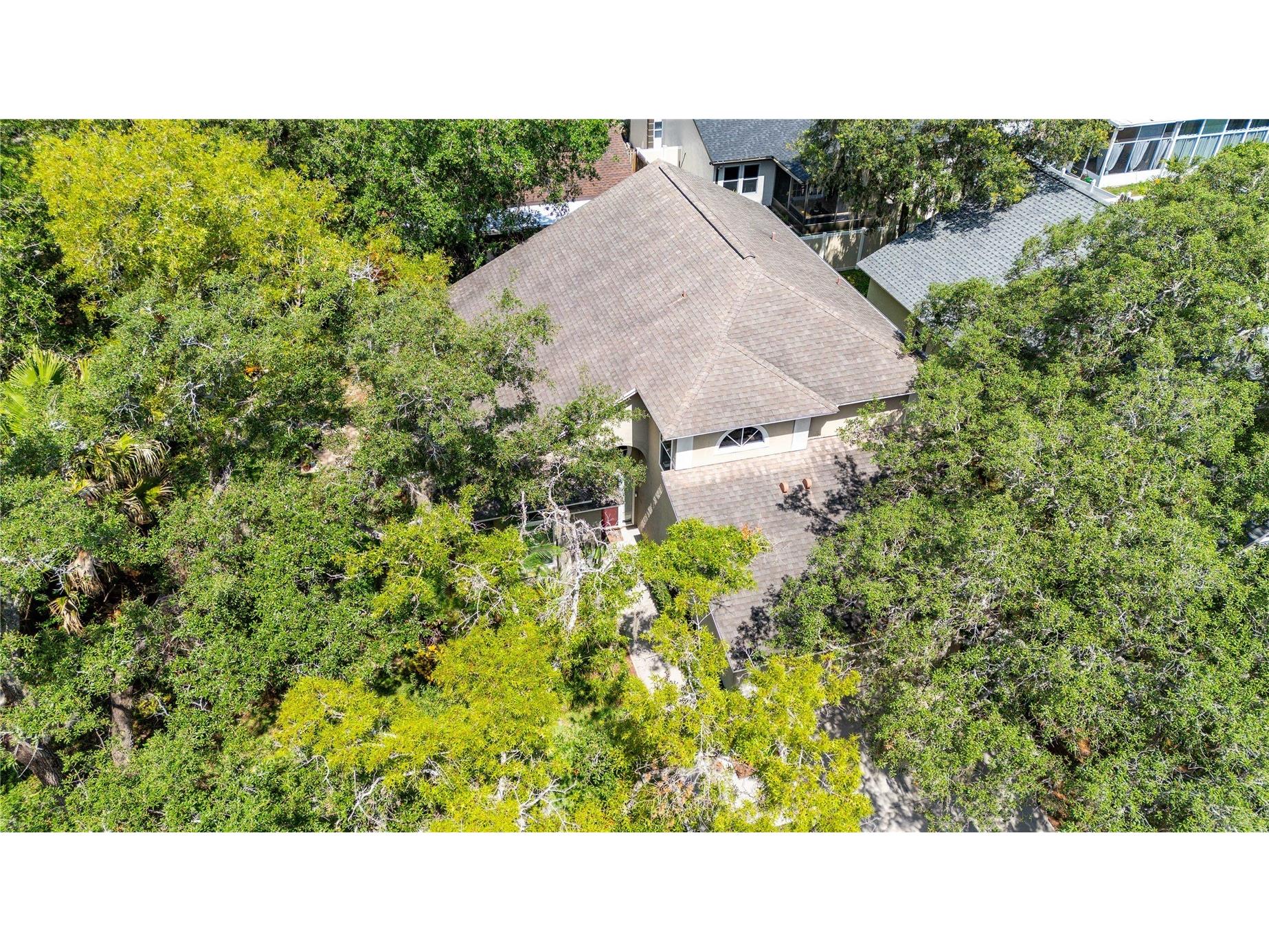4139 Moreland Drive Valrico FL 33596 TB8527165 image51
