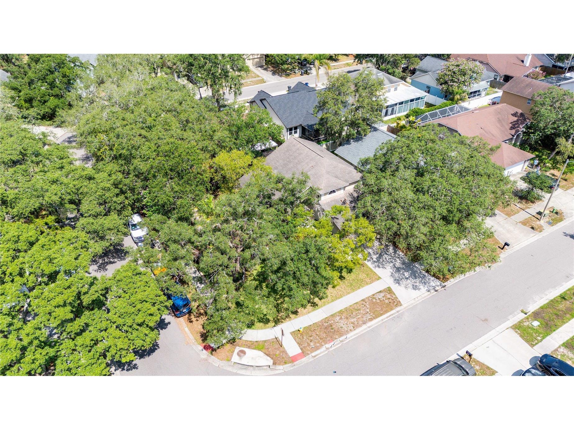 4139 Moreland Drive Valrico FL 33596 TB8527165 image52