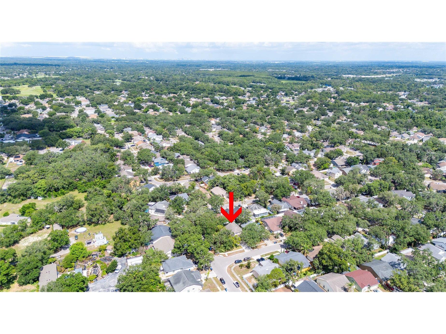4139 Moreland Drive Valrico FL 33596 TB8527165 image53