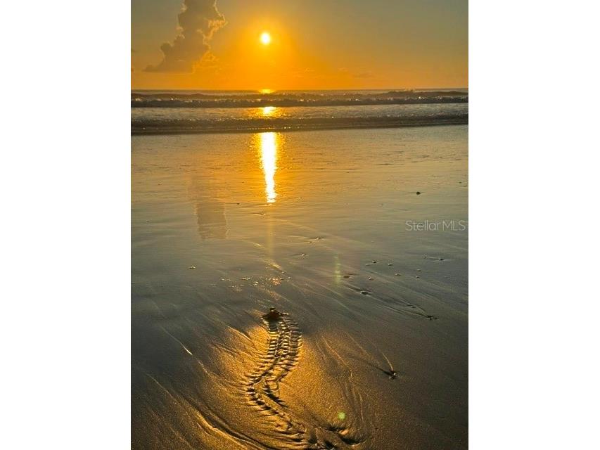 4139 S Atlantic Avenue S #A 205 New Smyrna Beach FL 32169 NS1086475 image64