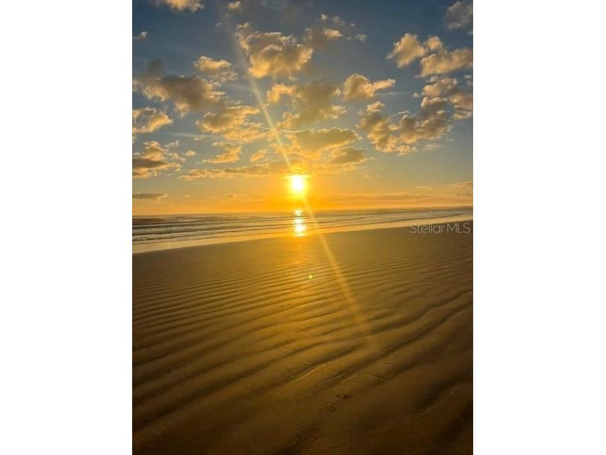 4139 S Atlantic Avenue S #A 205 New Smyrna Beach FL 32169 NS1086475 image68