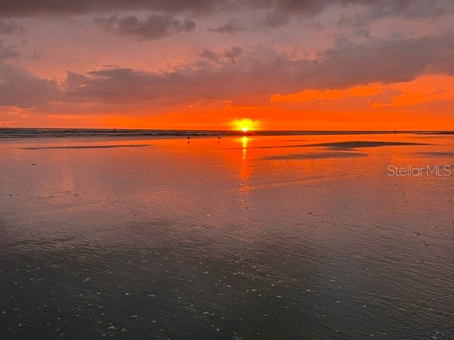 4139 S Atlantic Avenue S #A 205 New Smyrna Beach FL 32169 NS1086475 image69