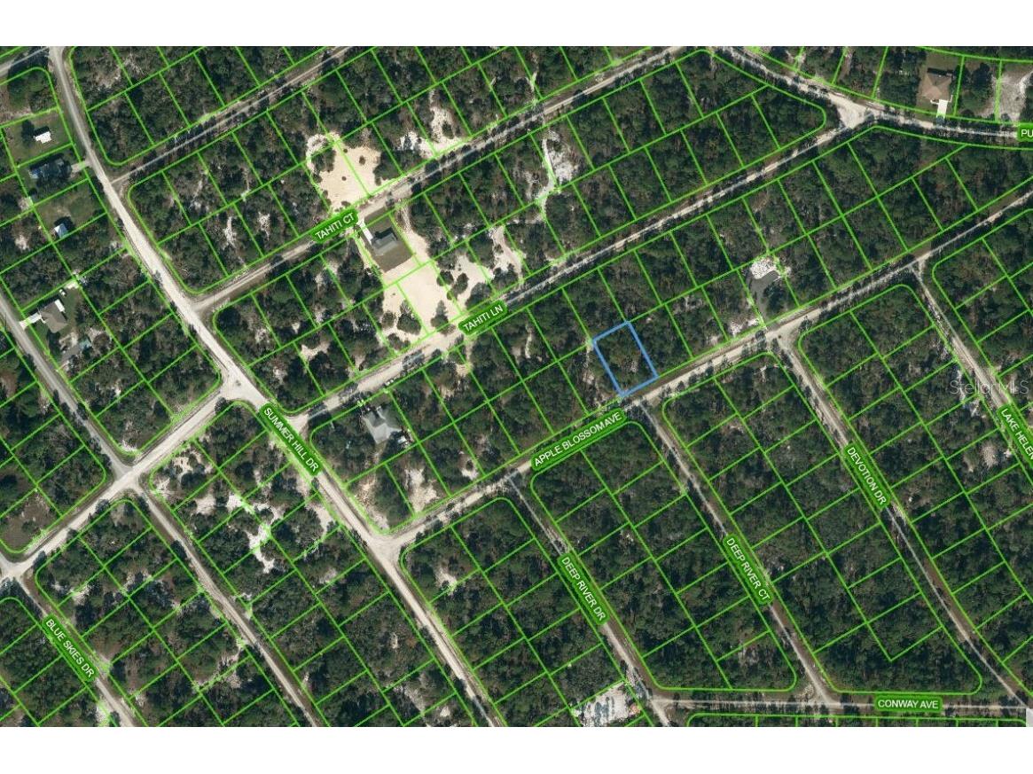 414 Apple Blossom Court Lake Placid FL 33852 OM624333 image1