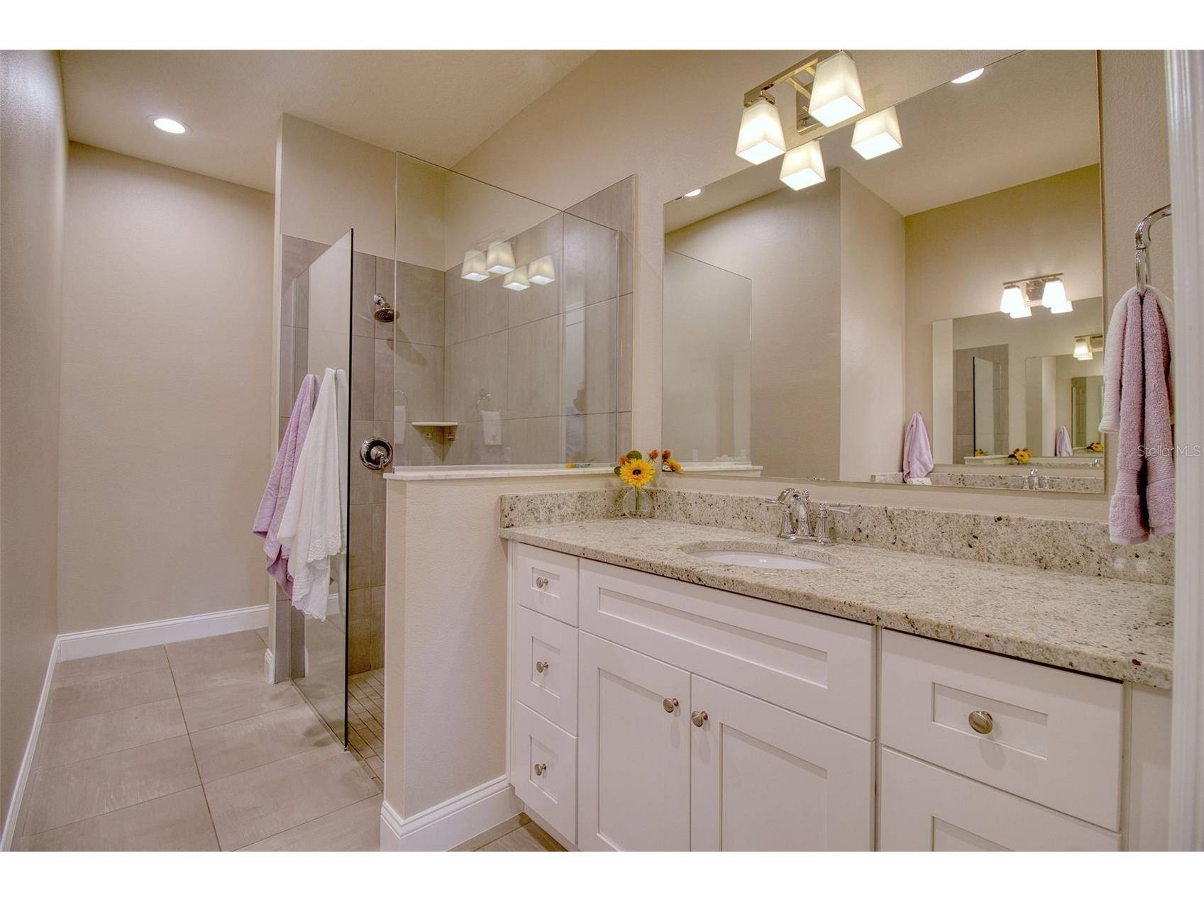 414 Birdsong Lane Dunedin FL 34698 TB8472991 image19