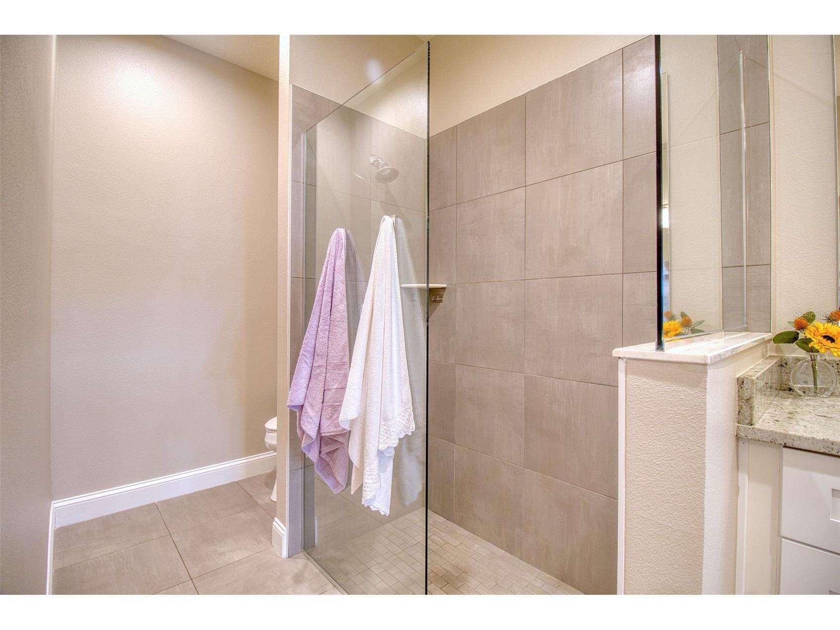414 Birdsong Lane Dunedin FL 34698 TB8472991 image21