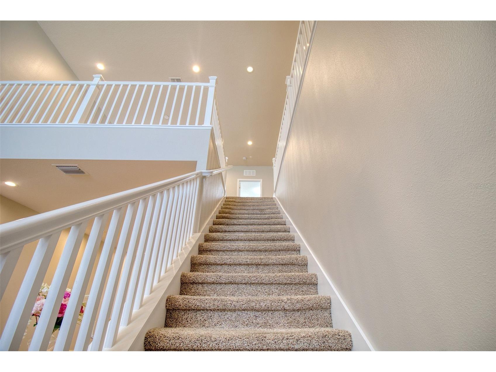 414 Birdsong Lane Dunedin FL 34698 TB8472991 image22