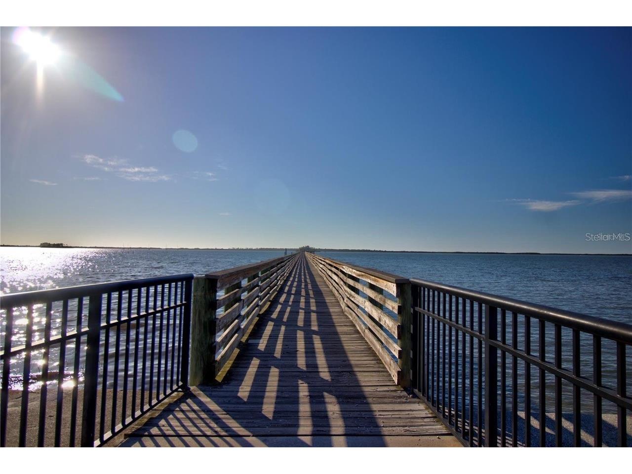 414 Birdsong Lane Dunedin FL 34698 TB8472991 image50