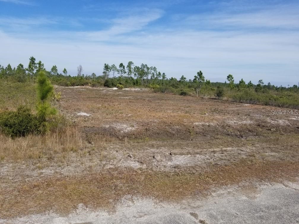 414 Calendula Drive Indian Lake Estates FL 33855 TB8353693 image1