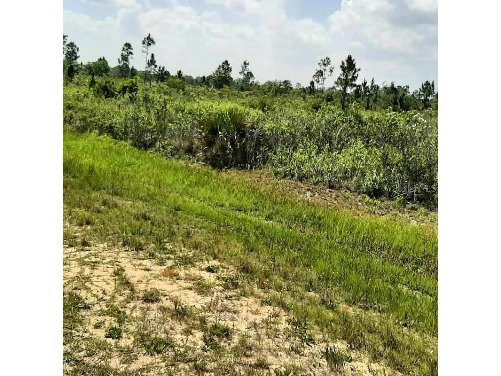 414 Calendula Drive Indian Lake Estates FL 33855 - LAKE WALK-IN-WATER TB8393890 image5