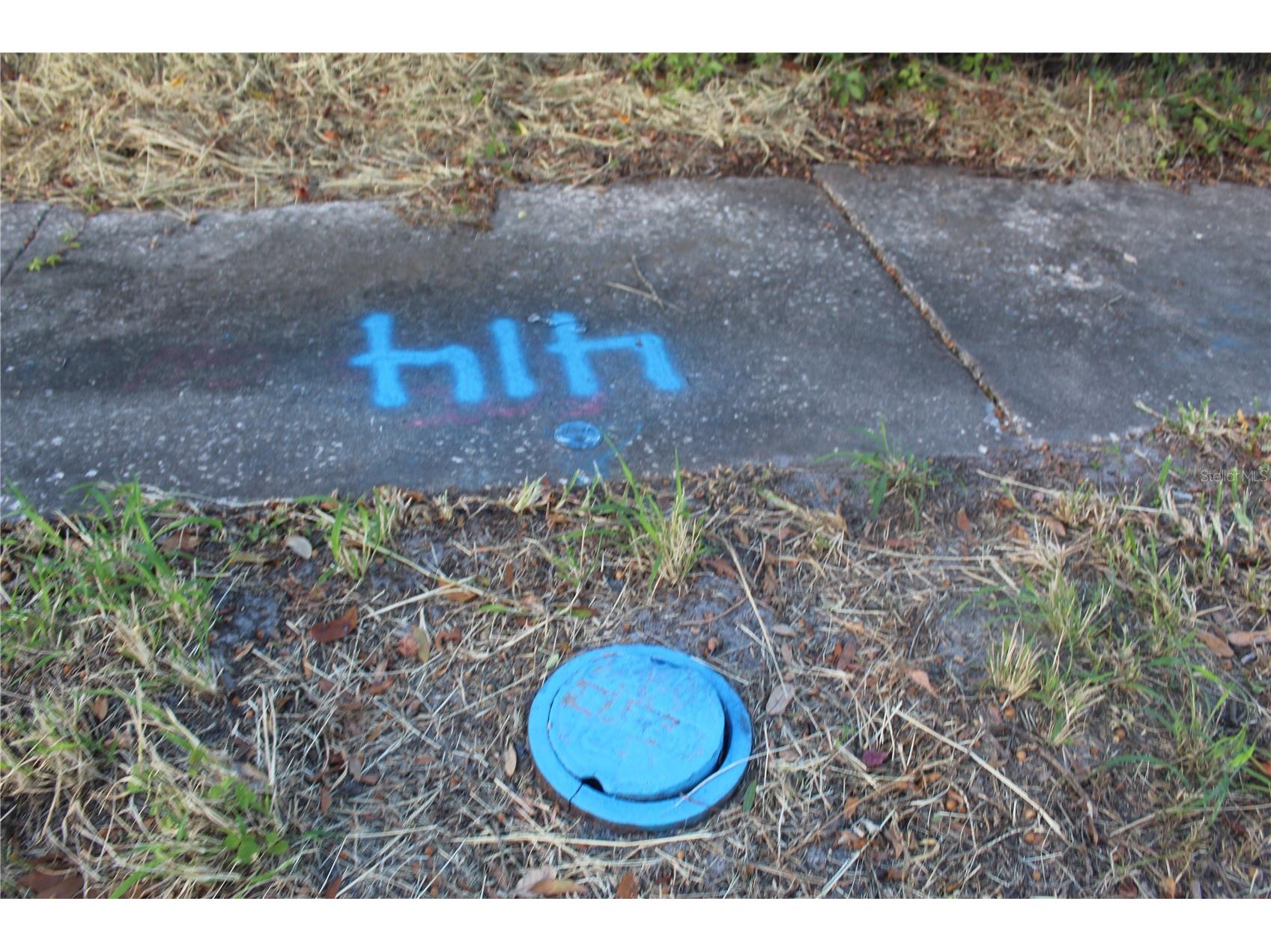 414 E Emily & 167408-0000 Street Tampa FL 33603 TB8441680 image13