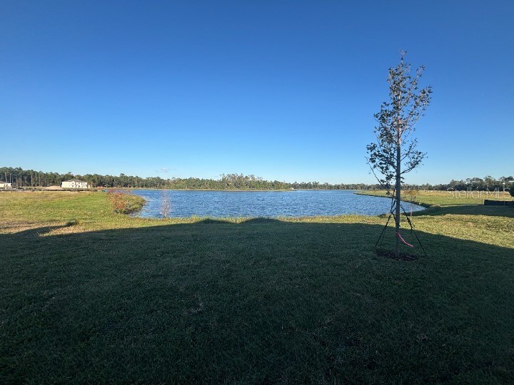 414 Junonia Blvd New Smyrna Beach FL 32168 TB8447633 image45