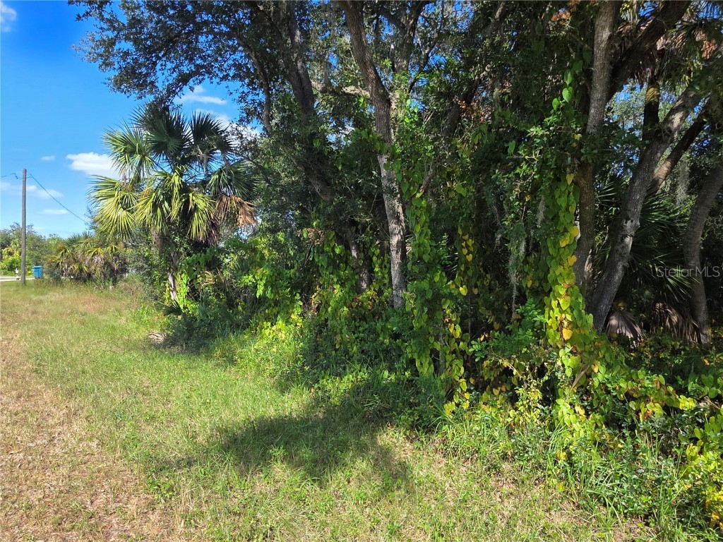 414 Liddy Street Port Charlotte FL 33954 D6144329 image2