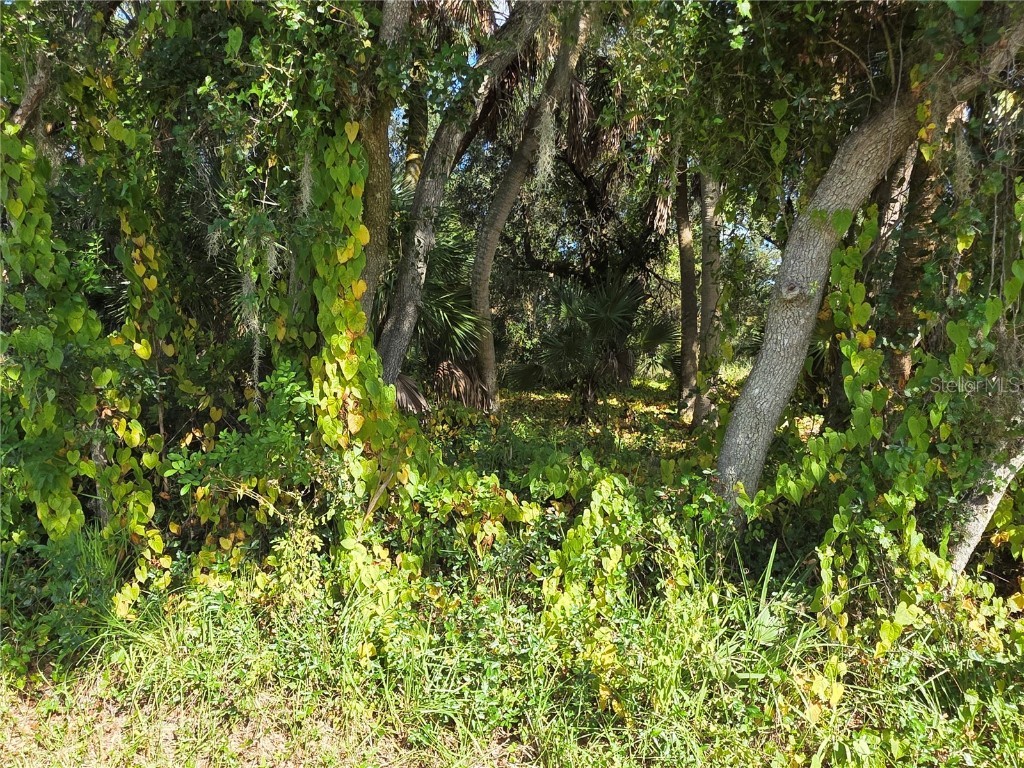 414 Liddy Street Port Charlotte FL 33954 D6144329 image4