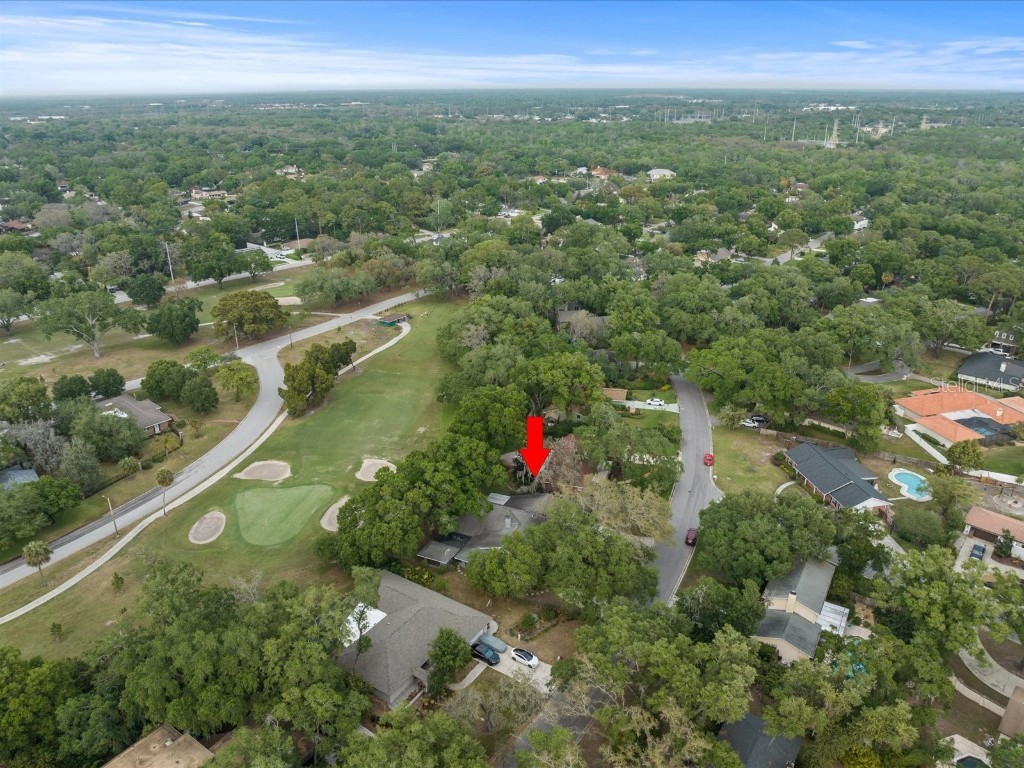 414 Montrose Avenue Temple Terrace FL 33617 T3433477 image1