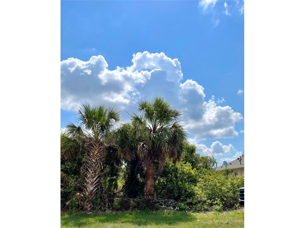 414 Ravenswood Boulevard Port Charlotte FL 33954 C7510290 image1