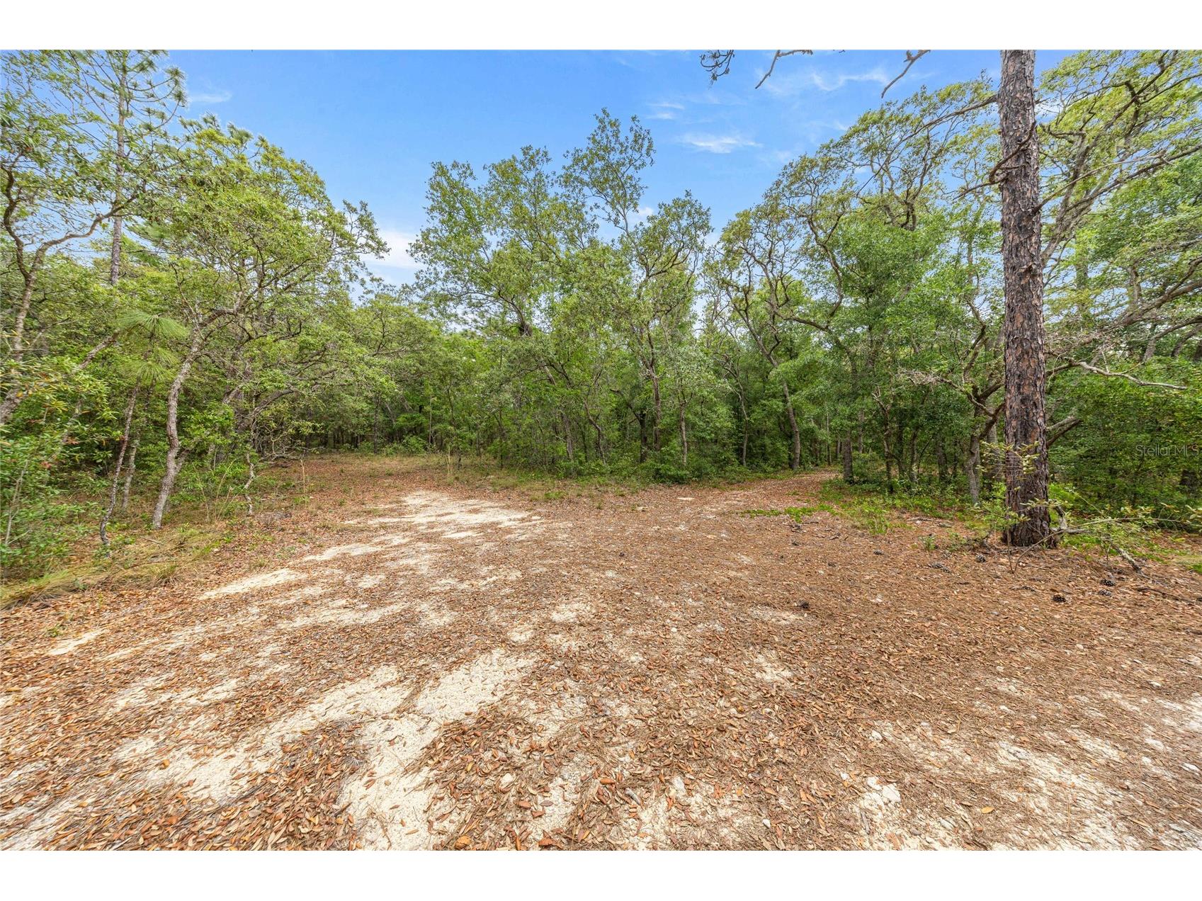 414 S School Avenue Lecanto FL 34461 OM723665 image66