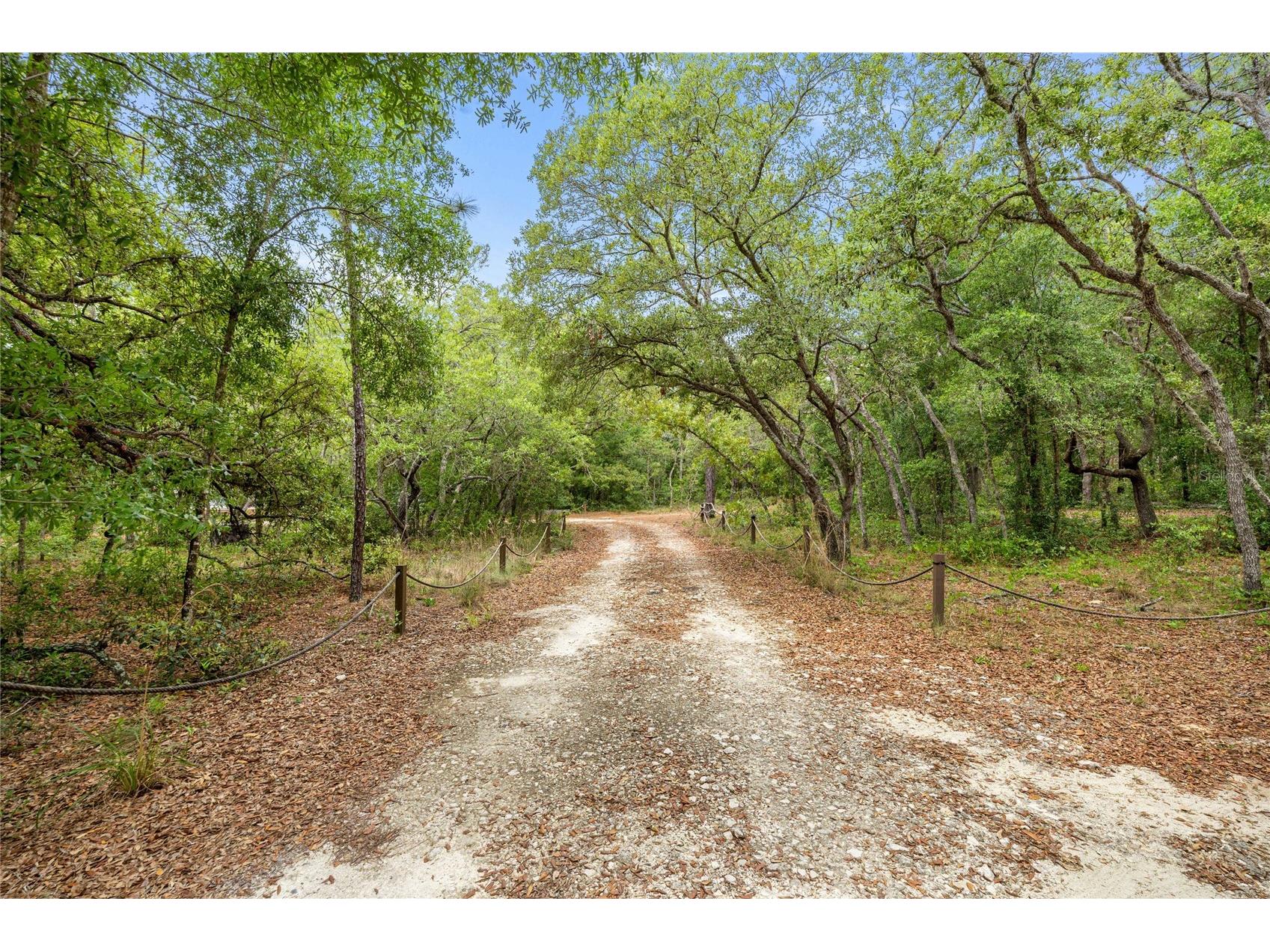414 S School Avenue Lecanto FL 34461 OM723665 image68