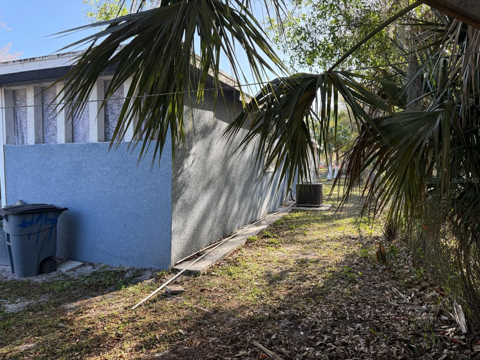 414 Spring Avenue Arcadia FL 34266 O6389595 image11