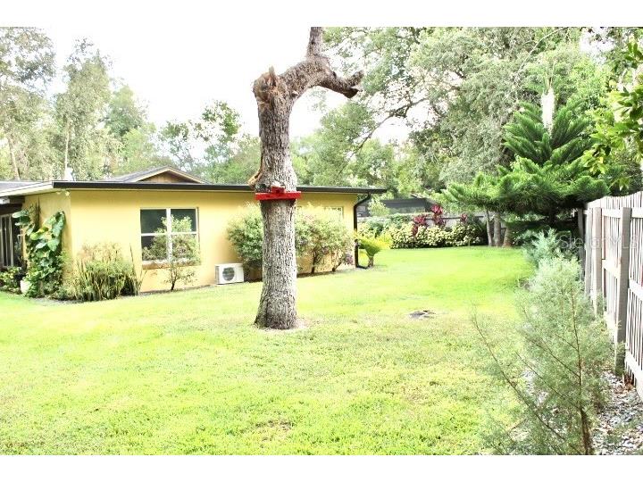 414 Timbercove Circle Longwood FL 32779 - PALM LAKE LAKE BRANTLEY S5135823 image33