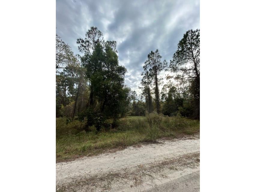 414 Whispering Pines Road Georgetown FL 32139 V4933512 image1