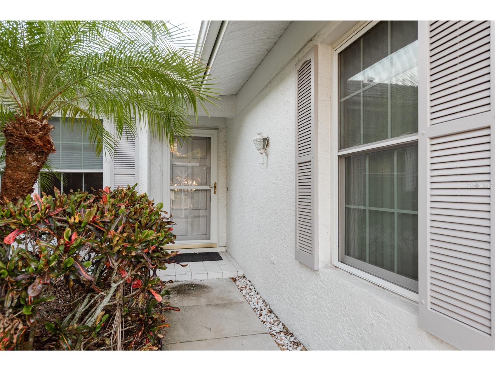 4140 Castlewood Drive Holiday FL 34691 TB8424713 image1