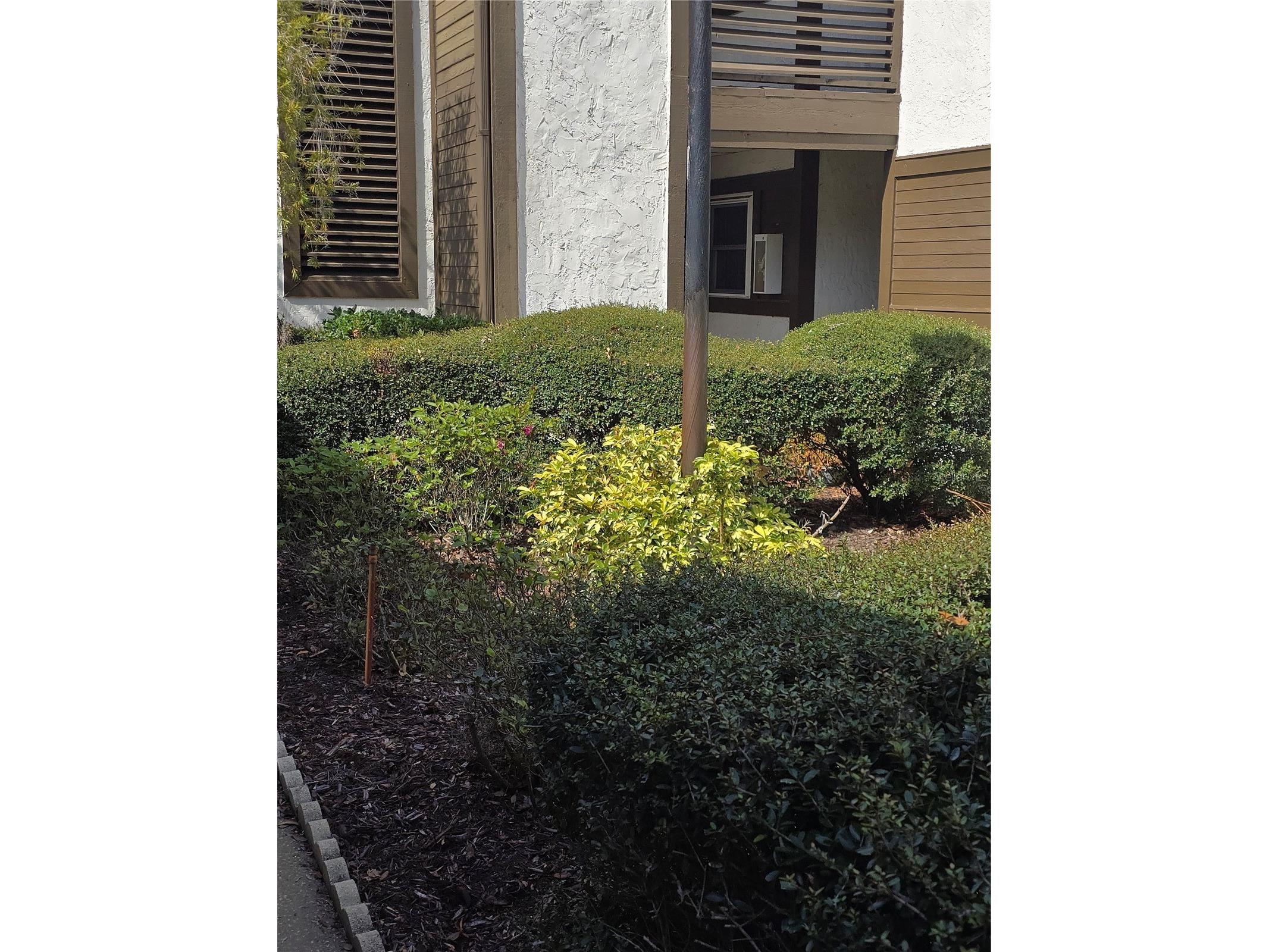 4140 Passport Lane #101 New Port Richey FL 34653 W7883079 image12