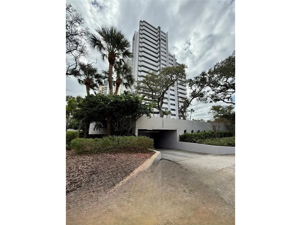4141 Bayshore Boulevard #1203 Tampa FL 33611 - TAMPA BAY TB8452280 image1