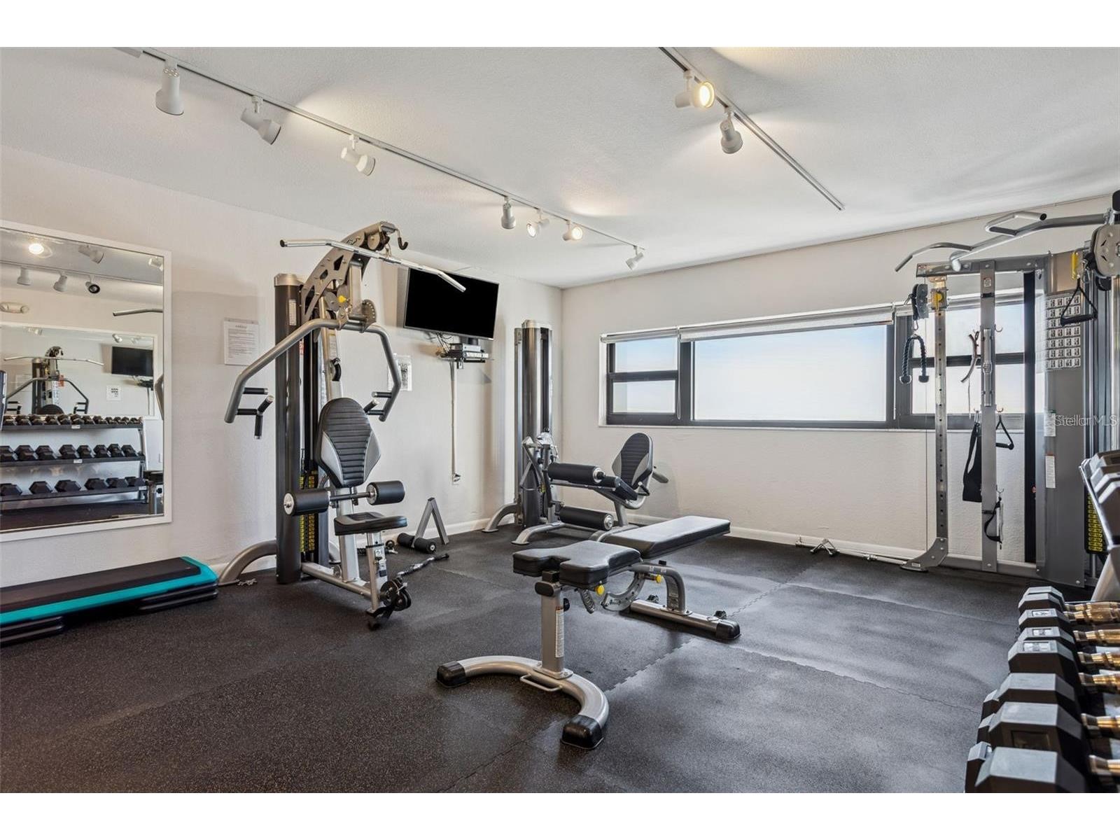 4141 Bayshore Boulevard #1204 Tampa FL 33611 TB8466315 image21