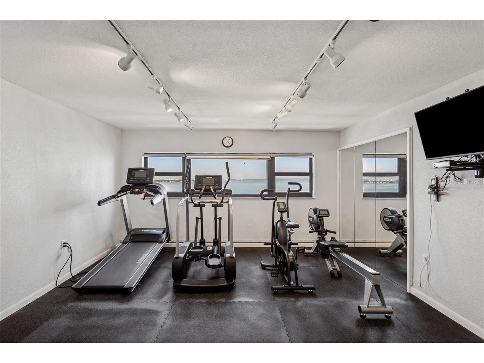 4141 Bayshore Boulevard #1204 Tampa FL 33611 TB8466315 image22