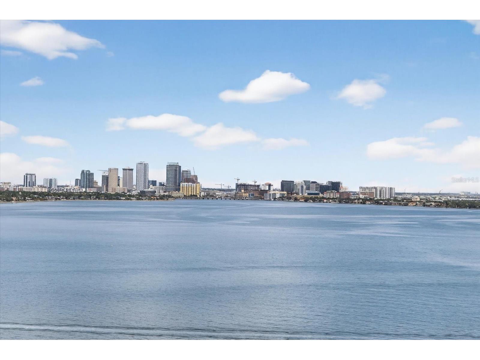 4141 Bayshore Boulevard #2001 Tampa FL 33611 TB8493325 image16
