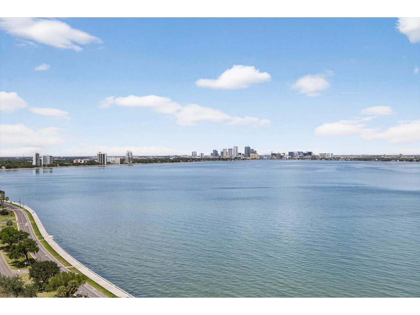 4141 Bayshore Boulevard #2001 Tampa FL 33611 TB8493325 image19